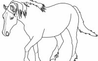 Coloring pages of horses printable