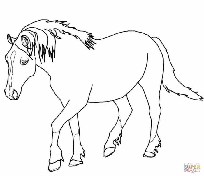 Coloring pages of horses printable