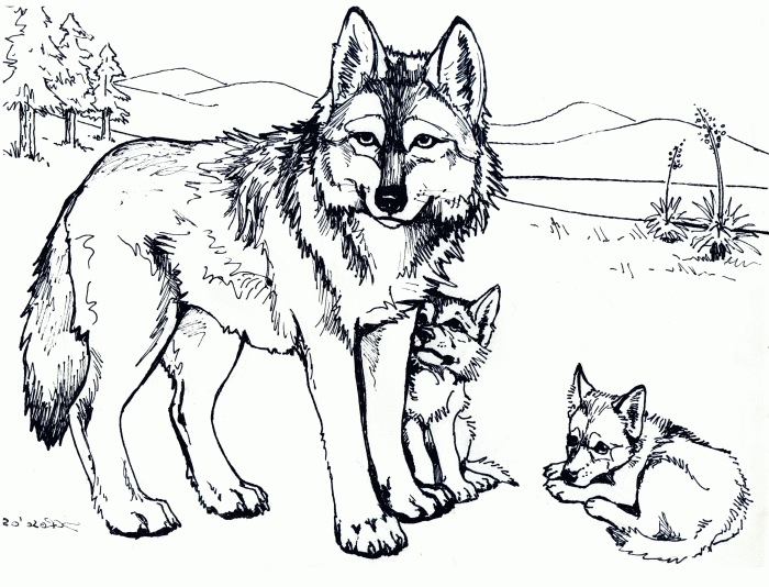 Coloring pages wolves