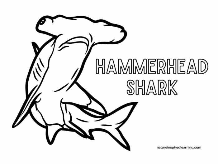 Hammerhead shark coloring page