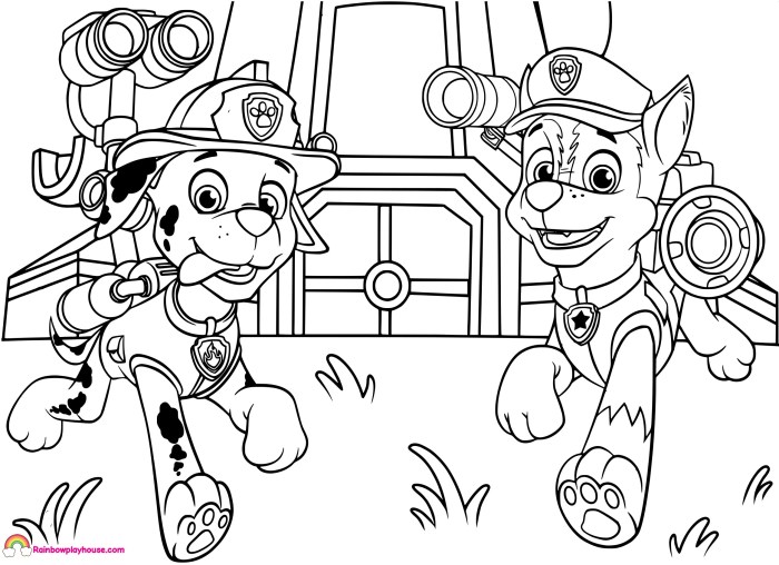 Activity pages paw patrol sheets colouring sheet