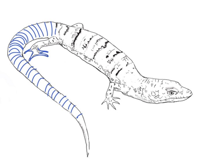 Lizard coloring pages kids printable lizards cartoon