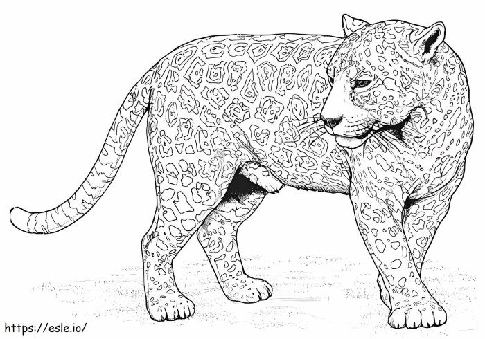 Panther coloring pages