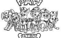 Chase patrol paw dog police sitting resting pages2color pages cookie copyright 2020