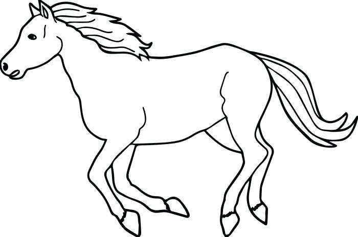 Cheval coloriage fait saut adulte equine 101activity