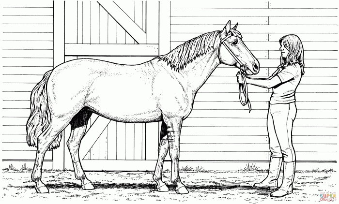 Coloring pages of horses printable