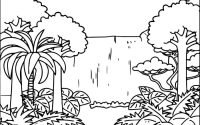 Rainforest coloring pages