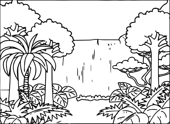 Rainforest coloring pages