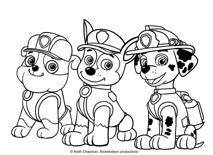 Paw patrol coloring page marshall