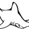 Hammerhead Shark Coloring Page A Creative Guide