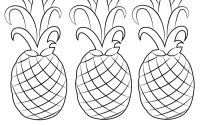 Coloring pages of pineapples