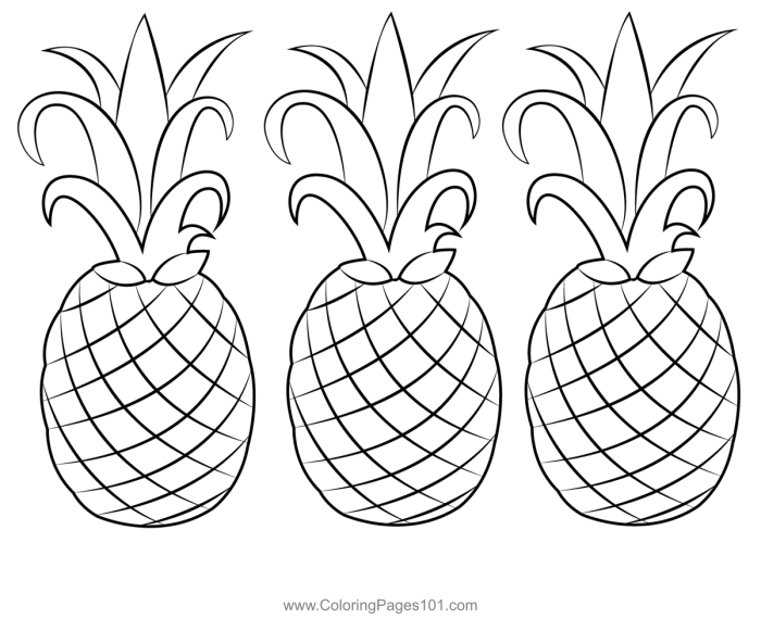 Coloring pages of pineapples