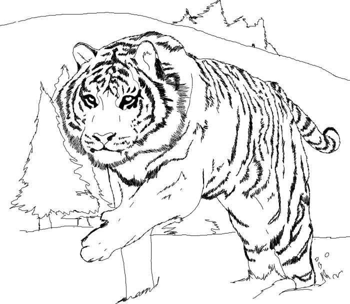 Printable tiger coloring pages