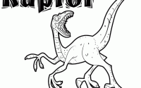 Dinosaur coloring pages velociraptor