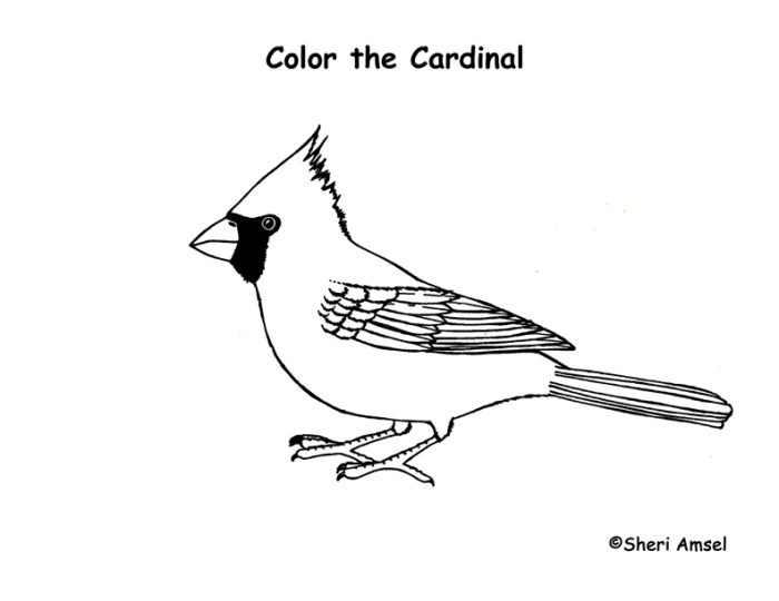 Red cardinal coloring page