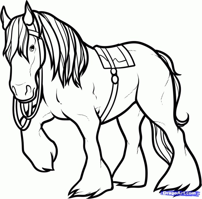 Cute horse coloring pages