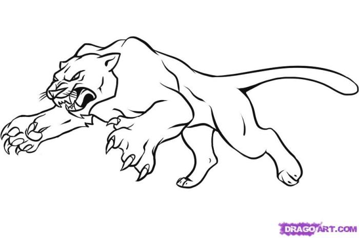 Panther coloring pages