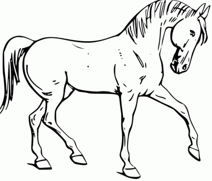 Horse coloring pages for kids