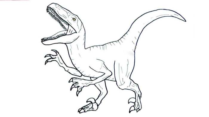 Dinosaur coloring pages velociraptor